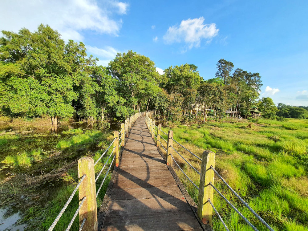 Khám phá thiên nhiên tại Vườn Quốc gia Nam Cát Tiên